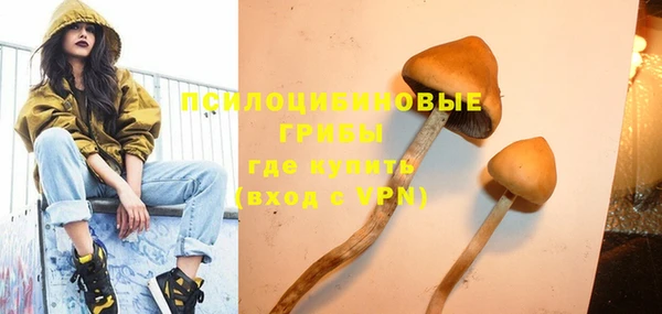 ГАЛЛЮЦИНОГЕННЫЕ ГРИБЫ Абдулино