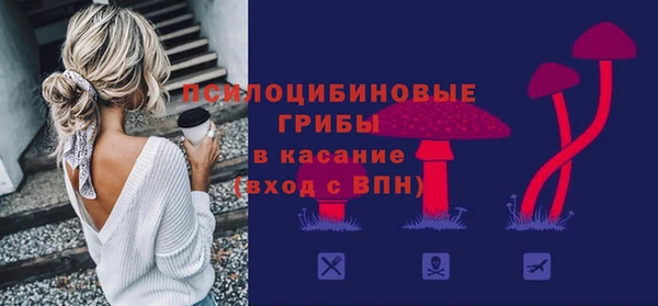 ГАЛЛЮЦИНОГЕННЫЕ ГРИБЫ Абдулино