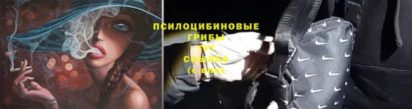 ГАЛЛЮЦИНОГЕННЫЕ ГРИБЫ Абдулино