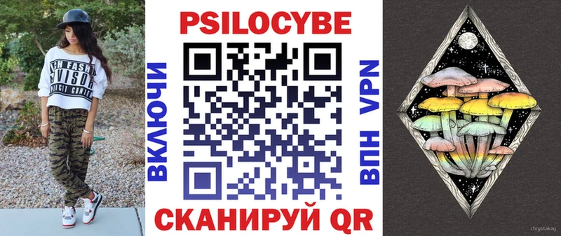 Псилоцибиновые грибы MAGIC MUSHROOMS  где купить наркоту  Щёкино 